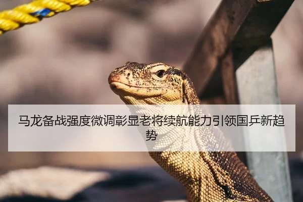 马龙备战强度微调彰显老将续航能力引领国乒新趋势