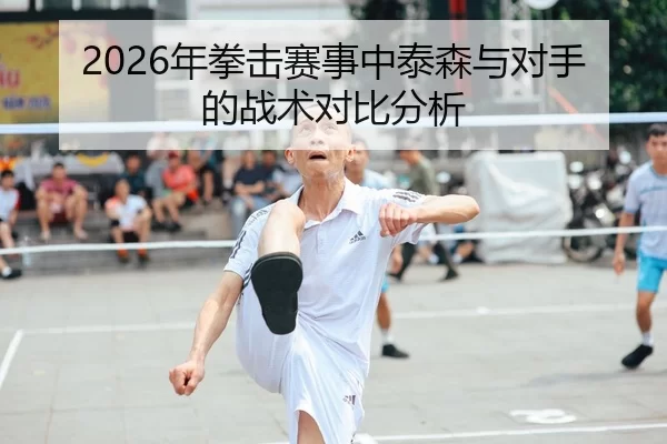 2026年拳击赛事中泰森与对手的战术对比分析