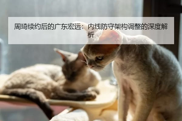 周琦续约后的广东宏远：内线防守架构调整的深度解析