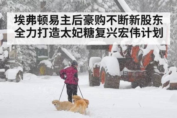 埃弗顿易主后豪购不断新股东全力打造太妃糖复兴宏伟计划